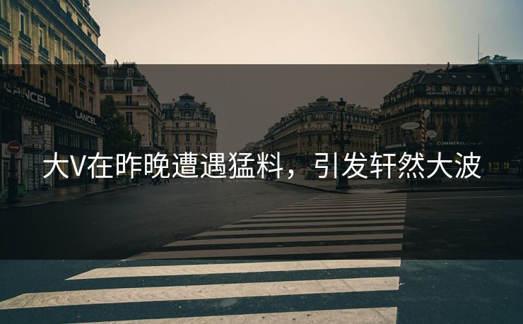 大V在昨晚遭遇猛料，引发轩然大波