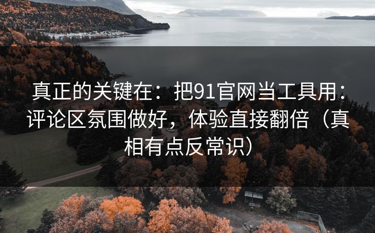 真正的关键在：把91官网当工具用：评论区氛围做好，体验直接翻倍（真相有点反常识）